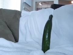 Cucumber lover